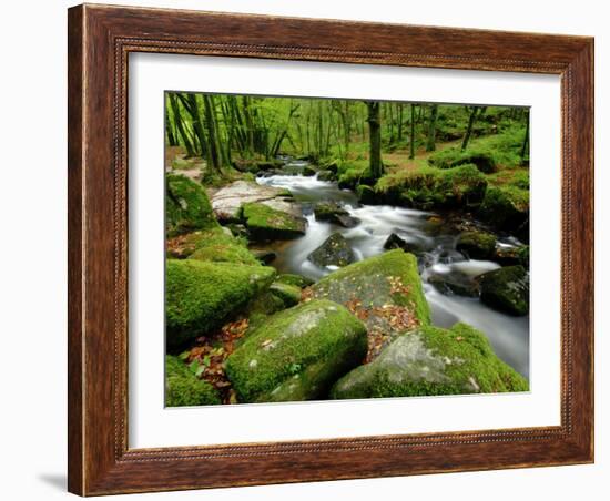 Golitha Falls, Bodmin, Cornwall, UK-Ross Hoddinott-Framed Photographic Print