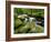 Golitha Falls, Bodmin, Cornwall, UK-Ross Hoddinott-Framed Photographic Print