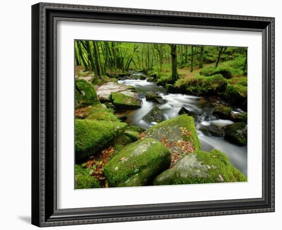 Golitha Falls, Bodmin, Cornwall, UK-Ross Hoddinott-Framed Photographic Print