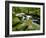 Golitha Falls, Bodmin, Cornwall, UK-Ross Hoddinott-Framed Photographic Print