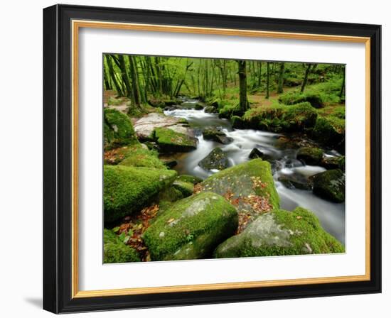 Golitha Falls, Bodmin, Cornwall, UK-Ross Hoddinott-Framed Photographic Print