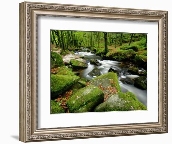 Golitha Falls, Bodmin, Cornwall, UK-Ross Hoddinott-Framed Photographic Print