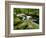 Golitha Falls, Bodmin, Cornwall, UK-Ross Hoddinott-Framed Photographic Print