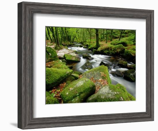 Golitha Falls, Bodmin, Cornwall, UK-Ross Hoddinott-Framed Photographic Print