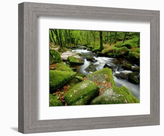 Golitha Falls, Bodmin, Cornwall, UK-Ross Hoddinott-Framed Photographic Print