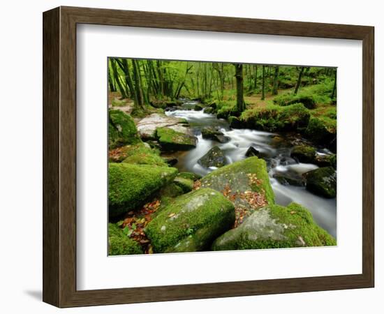 Golitha Falls, Bodmin, Cornwall, UK-Ross Hoddinott-Framed Photographic Print