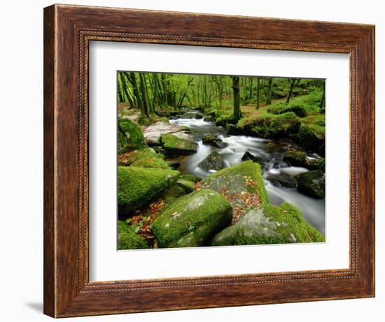 Golitha Falls, Bodmin, Cornwall, UK-Ross Hoddinott-Framed Photographic Print