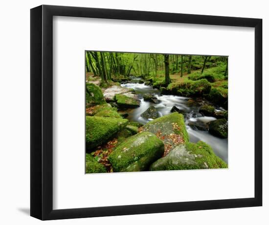 Golitha Falls, Bodmin, Cornwall, UK-Ross Hoddinott-Framed Photographic Print