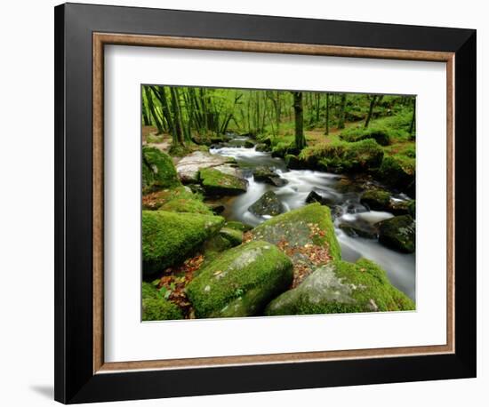 Golitha Falls, Bodmin, Cornwall, UK-Ross Hoddinott-Framed Photographic Print