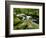 Golitha Falls, Bodmin, Cornwall, UK-Ross Hoddinott-Framed Photographic Print