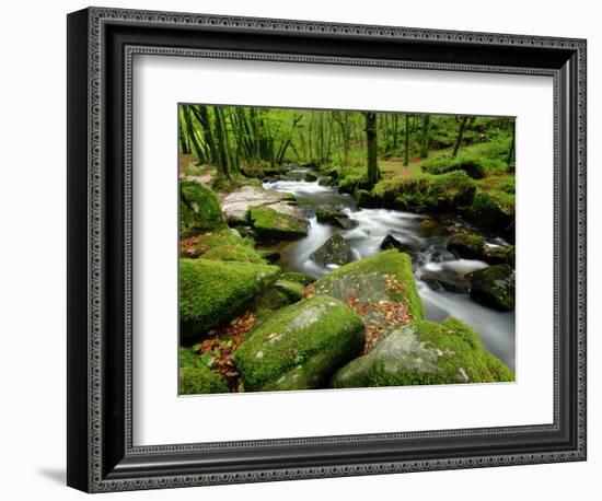 Golitha Falls, Bodmin, Cornwall, UK-Ross Hoddinott-Framed Photographic Print