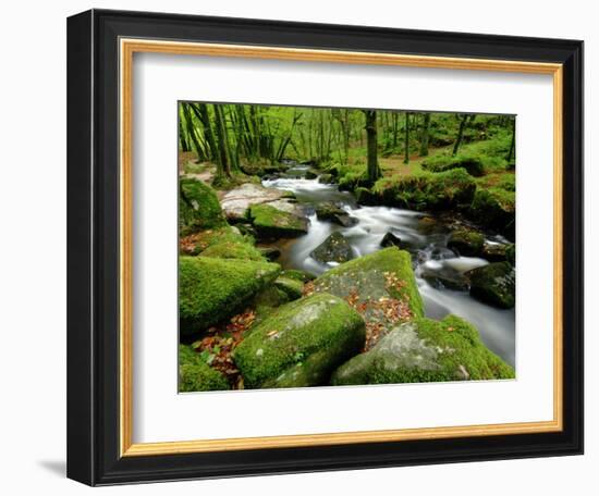 Golitha Falls, Bodmin, Cornwall, UK-Ross Hoddinott-Framed Photographic Print