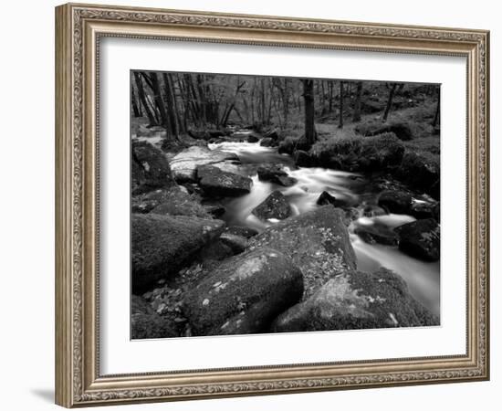 Golitha Falls, Bodmin, Cornwall, UK-Ross Hoddinott-Framed Photographic Print