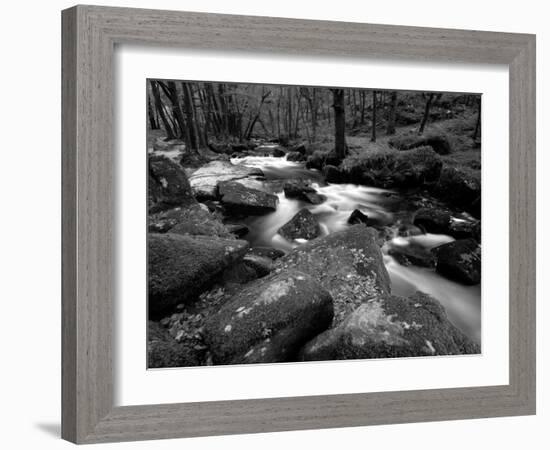 Golitha Falls, Bodmin, Cornwall, UK-Ross Hoddinott-Framed Photographic Print