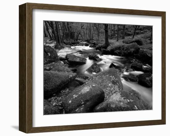 Golitha Falls, Bodmin, Cornwall, UK-Ross Hoddinott-Framed Photographic Print