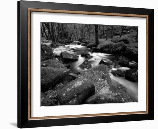 Golitha Falls, Bodmin, Cornwall, UK-Ross Hoddinott-Framed Photographic Print