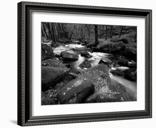 Golitha Falls, Bodmin, Cornwall, UK-Ross Hoddinott-Framed Photographic Print