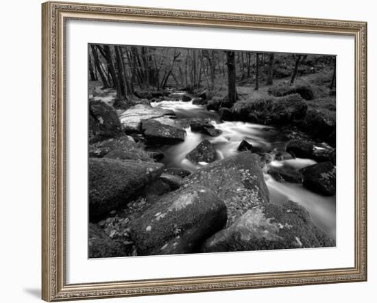 Golitha Falls, Bodmin, Cornwall, UK-Ross Hoddinott-Framed Photographic Print