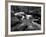 Golitha Falls, Bodmin, Cornwall, UK-Ross Hoddinott-Framed Photographic Print