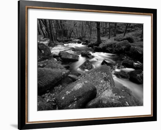 Golitha Falls, Bodmin, Cornwall, UK-Ross Hoddinott-Framed Photographic Print