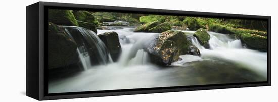 Golitha Falls, Cornwall, Water Flowing over Rocks in the Falls, on the River Fowey-David Clapp-Framed Premier Image Canvas