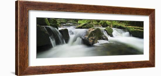 Golitha Falls, Cornwall, Water Flowing over Rocks in the Falls, on the River Fowey-David Clapp-Framed Photographic Print
