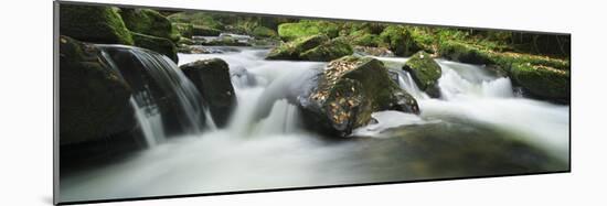 Golitha Falls, Cornwall, Water Flowing over Rocks in the Falls, on the River Fowey-David Clapp-Mounted Photographic Print