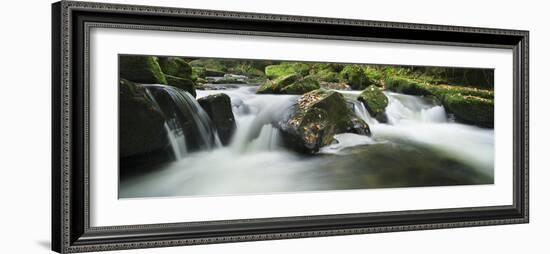 Golitha Falls, Cornwall, Water Flowing over Rocks in the Falls, on the River Fowey-David Clapp-Framed Photographic Print