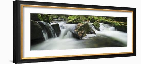 Golitha Falls, Cornwall, Water Flowing over Rocks in the Falls, on the River Fowey-David Clapp-Framed Photographic Print