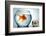 Golodfish Discrimination-Orla-Framed Photographic Print