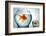 Golodfish Discrimination-Orla-Framed Photographic Print