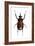 Golofa Scarab Beetle-Lawrence Lawry-Framed Photographic Print