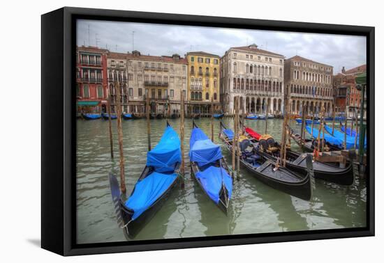 Gondola Boats on Grand Canal, Venice, Italy-Darrell Gulin-Framed Premier Image Canvas