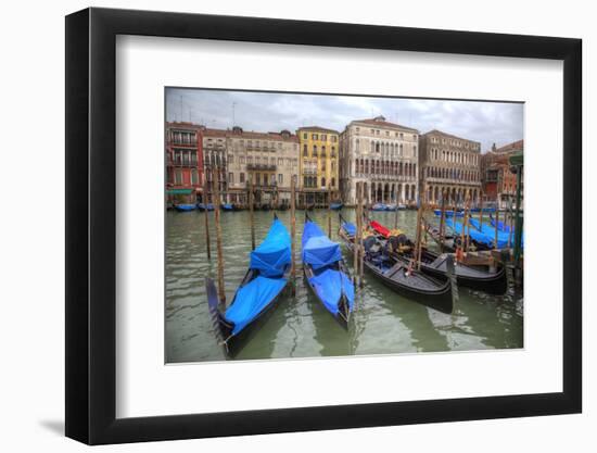 Gondola Boats on Grand Canal, Venice, Italy-Darrell Gulin-Framed Photographic Print