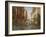 Gondola II-Judy Mastrangelo-Framed Giclee Print