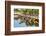 Gondola-Like Moliceiros Boats Anchored Along the Central Channel, Aveiro, Beira, Portugal, Europe-G and M Therin-Weise-Framed Photographic Print