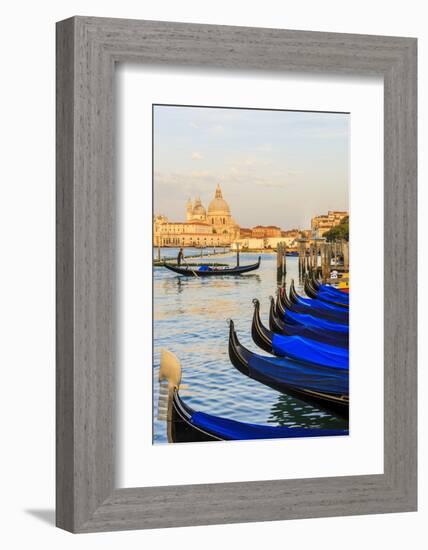 Gondola Lineup in Front of Basilica Di Santa Maria Della Salute. Venice. Italy-Tom Norring-Framed Photographic Print