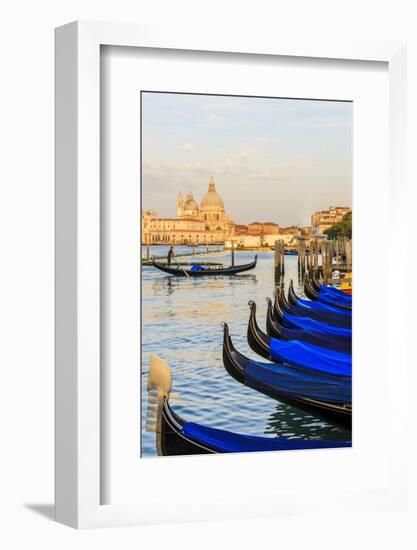 Gondola Lineup in Front of Basilica Di Santa Maria Della Salute. Venice. Italy-Tom Norring-Framed Photographic Print