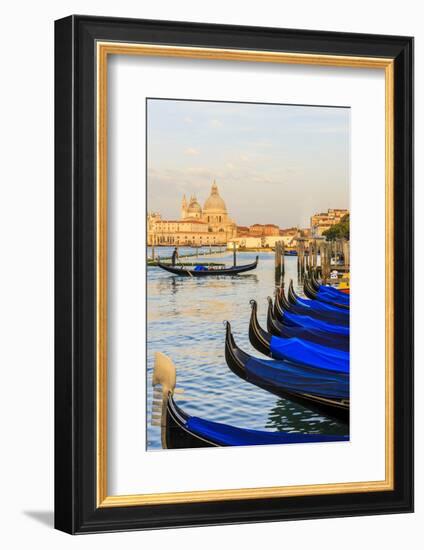 Gondola Lineup in Front of Basilica Di Santa Maria Della Salute. Venice. Italy-Tom Norring-Framed Photographic Print