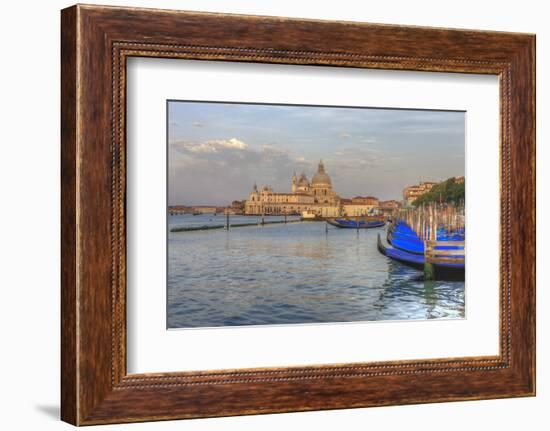 Gondola Lineup in Front of Church of San Giorgio Maggiore. Venice. Italy-Tom Norring-Framed Photographic Print