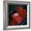 Gondola Seat and Gondolier's Hat, Venice, Veneto, Italy, Europe-Roy Rainford-Framed Photographic Print