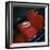 Gondola Seat and Gondolier's Hat, Venice, Veneto, Italy, Europe-Roy Rainford-Framed Photographic Print