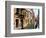 Gondolas along Canal, Venice, Italy-Lisa S. Engelbrecht-Framed Photographic Print