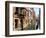 Gondolas along Canal, Venice, Italy-Lisa S. Engelbrecht-Framed Photographic Print