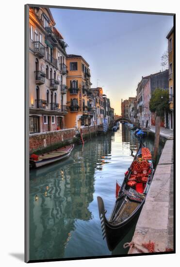 Gondolas Along the Canals of Venice, Italy-Darrell Gulin-Mounted Photographic Print