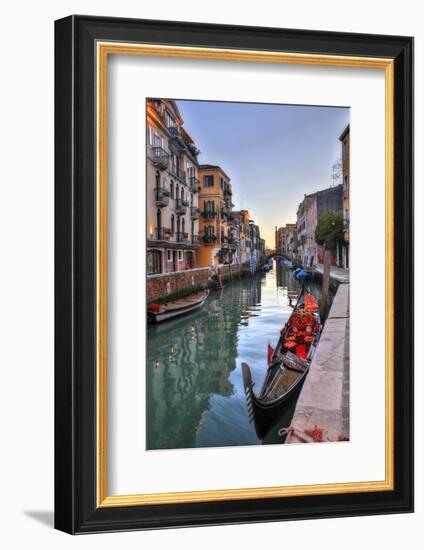 Gondolas Along the Canals of Venice, Italy-Darrell Gulin-Framed Photographic Print