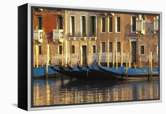 Gondolas Along the Grand Canal in Venice, Italy-David Noyes-Framed Premier Image Canvas