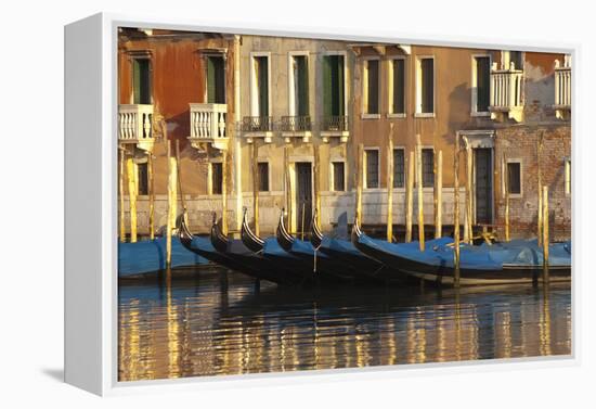 Gondolas Along the Grand Canal in Venice, Italy-David Noyes-Framed Premier Image Canvas