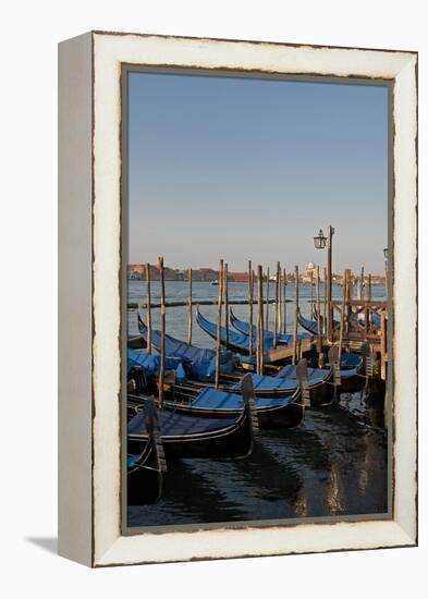 Gondolas Along the Grand Canal in Venice, Italy-David Noyes-Framed Premier Image Canvas