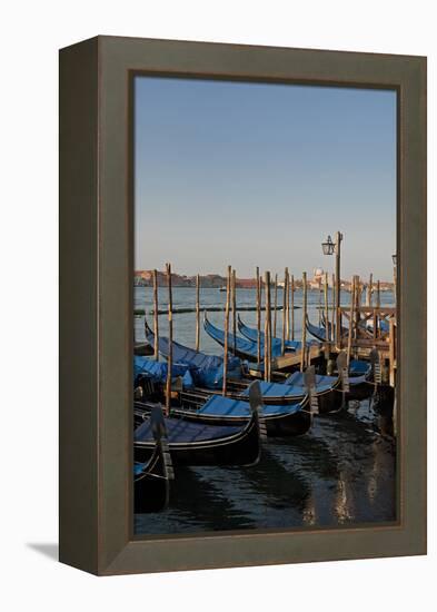 Gondolas Along the Grand Canal in Venice, Italy-David Noyes-Framed Premier Image Canvas